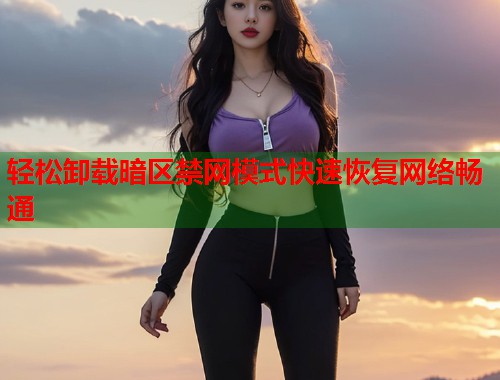 轻松卸载暗区禁网模式快速恢复网络畅通